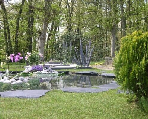 fôret avec piscine naturelle 2