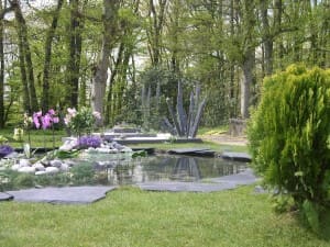 jardin avec un point d'eau